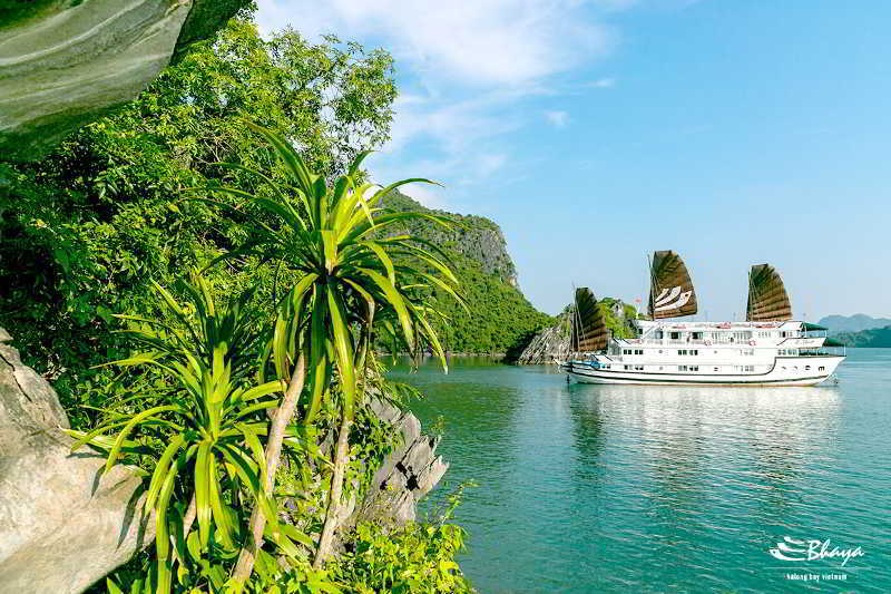 Bhaya Classic Cruises Халонг Экстерьер фото